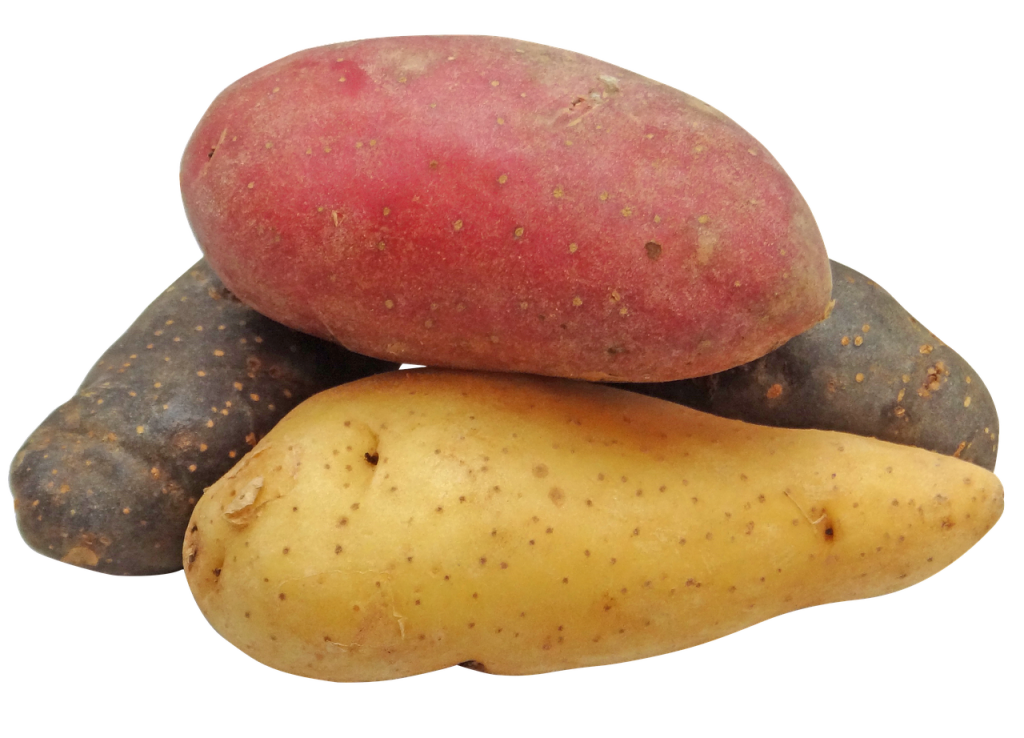 A picture of a variety of potatoes in different colors.